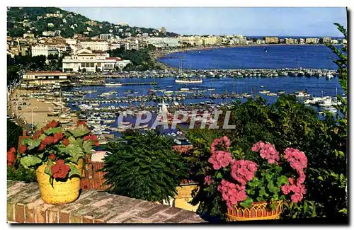 Cartes postales moderne La Cote D&#39Azur Cannes Le port et la Croisette