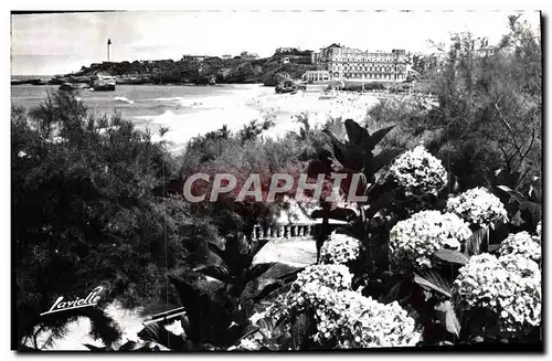 Cartes postales moderne Biarritz Les hortensias et vue sur la grande plage L&#39hotel du palais et le phare