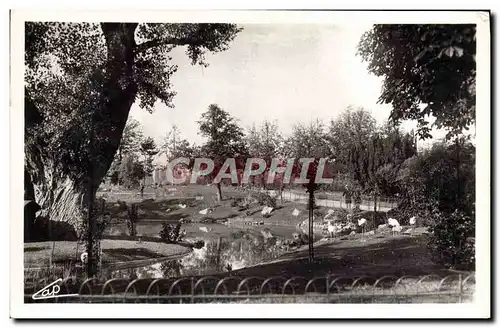 Cartes postales moderne Vichy Les parcs et le nouveau bassin des cygnes