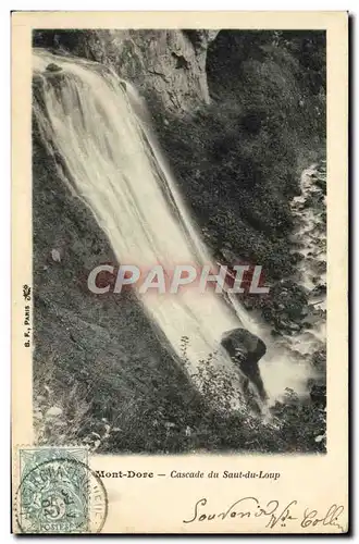 Ansichtskarte AK Monte Dore Cascade du Saut du Loup