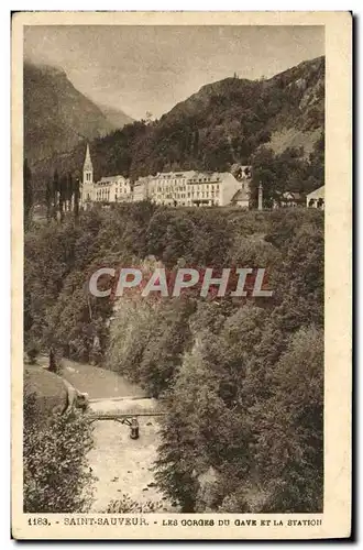 Ansichtskarte AK Saint Sauveur Les Gorges du Gave et la station