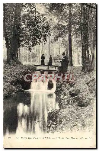 Cartes postales Le Bois De Vincennes Tete du Lac Daumesnil