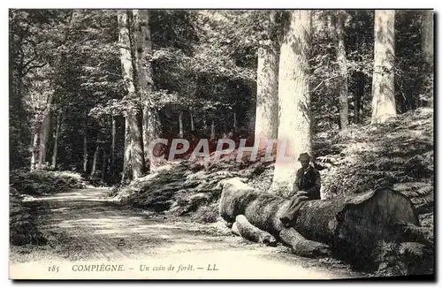 Ansichtskarte AK Compiegne Un Coin de Foret