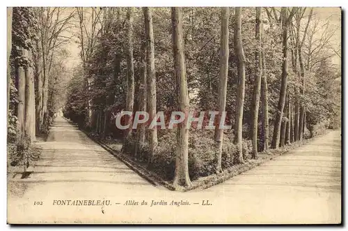 Cartes postales Fontainebleau Allees du Jardin Anglais