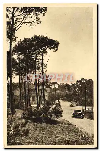 Cartes postales La Baule les Pins Une Vue de la Foret Automobile