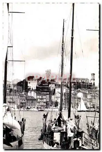 Cartes postales moderne Cannes du Suquet Bateau