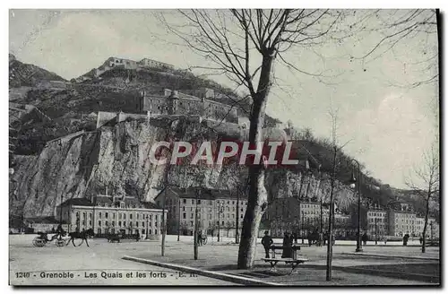 Cartes postales Grenoble Les Quais Et Les Forts