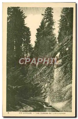 Cartes postales Le Lioran Les Gorges De l&#39Allagnon