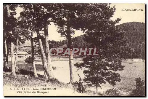 Ansichtskarte AK Lac Chambon Vue Prise Du Bosquet