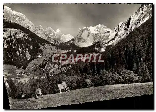 Cartes postales moderne Pralognan la Vanoise Massif Paturages Vaches