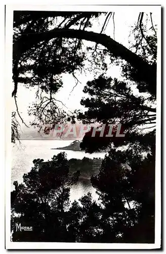 Cartes postales moderne La Cote Provencale Cassis Sur Mer Derniers rayons de soleil sur la baie de la terrasse de Revest