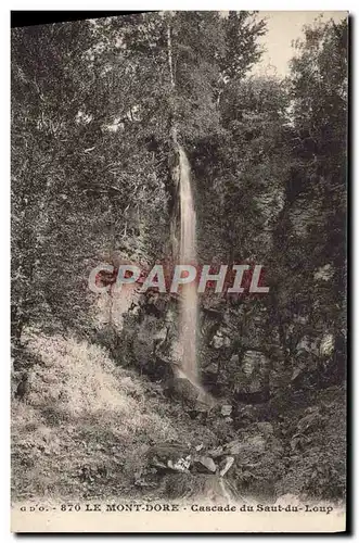 Ansichtskarte AK Le Mont Dore Cascade Du Saut Du Loup