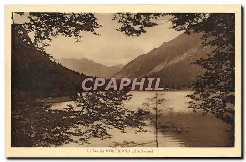 Cartes postales Le Lac de Montriond