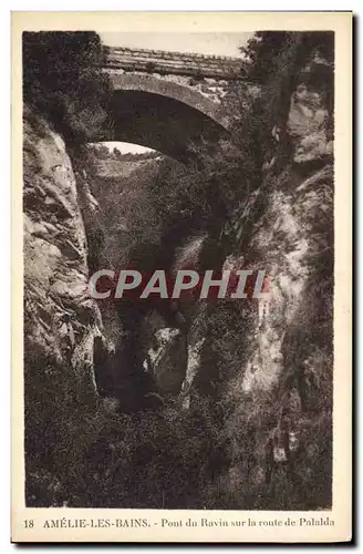 Cartes postales Amelie Les Bains Pont du Ravin sur la Route de Palalda