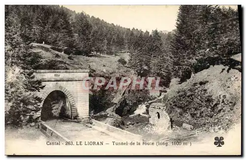 Ansichtskarte AK Le Lioran Tunnel de la Route