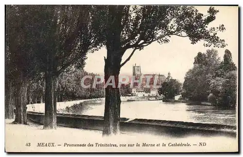 Cartes postales Meaux Promenade des Trinitaires Vue sur la Marne et la Cathedrale