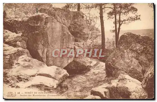 Cartes postales Foret de Fontainebleau Sentier de Mastodontes Promenade de la Tour Denecourt