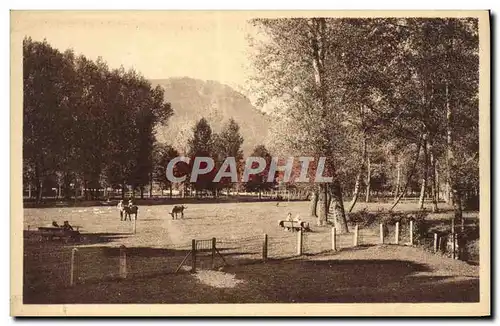 Cartes postales Vic Sur Cere Un Coin Du Parc