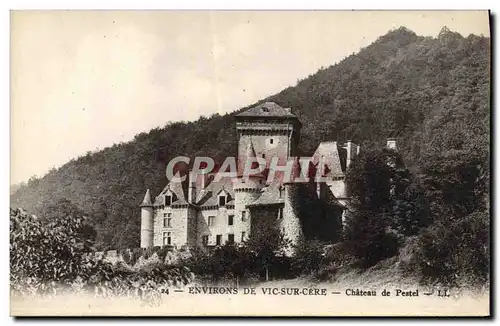 Cartes postales Environs de Vic Sur Cere Chateau de Pestel