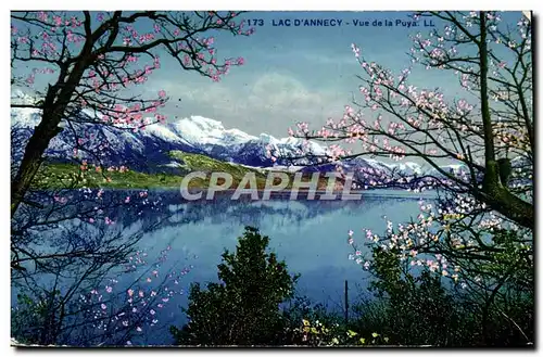 Cartes postales moderne Lac D&#39Annecy Vue De La Puys