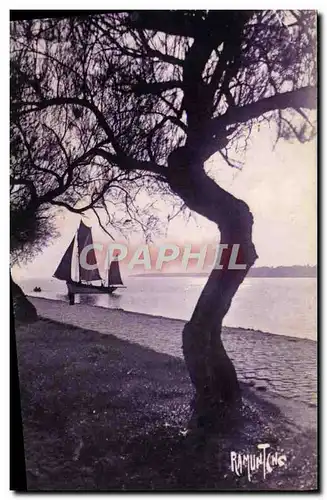 Cartes postales La Rochelle Promenade des Tamaris Bateau