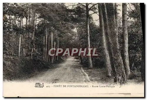 Ansichtskarte AK Foret De Fontainebleau Route Louis Philippe