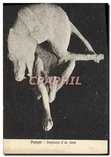 Cartes postales Pompei Impronta d&#39un Cane chien