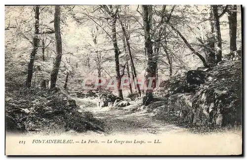 Ansichtskarte AK Fontainebleau La Foret La Gorge Aux Loups