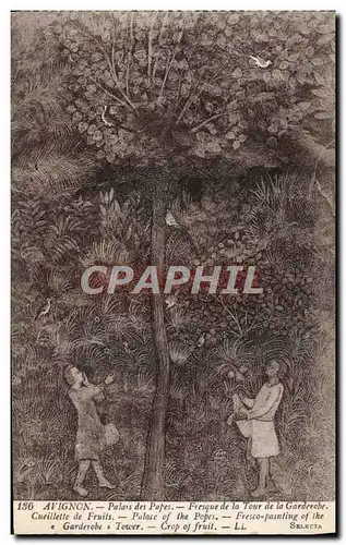 Cartes postales Avignon Palais Des Papes Fresque De La Tour De La Garderobe Cueillette de fruits