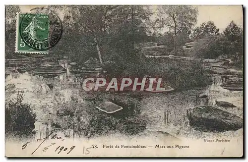 Cartes postales Foret De Fontainebleau Mare Aux Pigeons