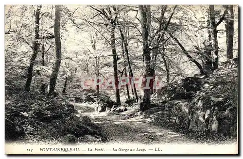 Ansichtskarte AK Fontainebleau La Foret La Gorge Au Loup