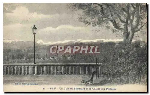 Cartes postales Pau Un Coin Du Boulevard Et La Chaine Des Pyrenees