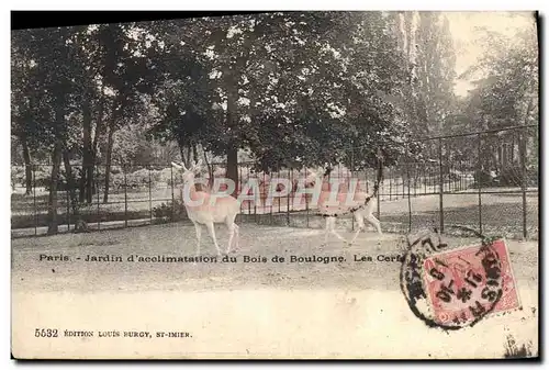 Cartes postales Paris Jardin d&#39acclimation du Bois de Boulogne Les cerfs