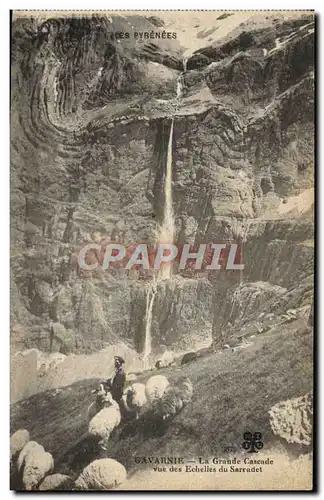 Cartes postales Gavarnie La grande cascade vue des echelles du Sarradet Berger Moutons