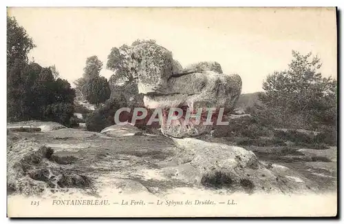 Ansichtskarte AK Fontainebleau La Foret Le sphynx des druides