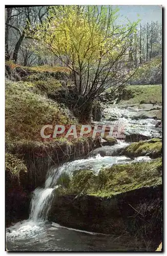 Cartes postales Paysage Cascade