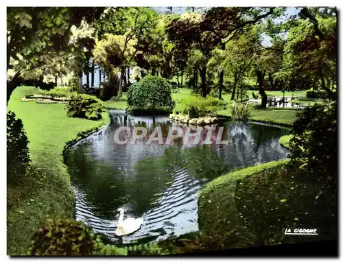 Cartes postales moderne Nantes Le Jardin des Plantes Cygne