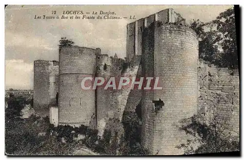 Cartes postales Loches Le Donjon Les Tours A Bec Et Les Fosses du chateau