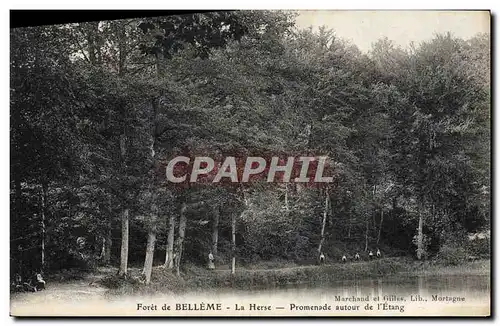 Cartes postales Foret De Belleme La Herse Promenade autour de l'etang