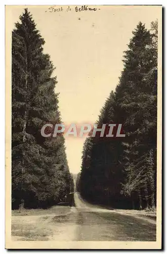 Cartes postales Foret De Belleme Une magnifique allee forestiere la route de Mortagne a Belleme