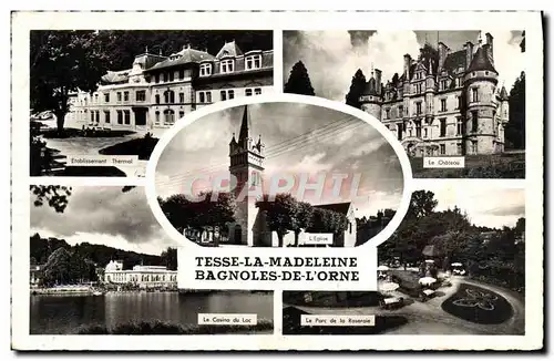 Cartes postales moderne Bagnoles Tesse La Madeleine le chateau Le parc et la roseraie Le casino du lac