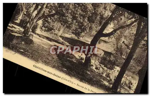 Cartes postales Chatillon Sur Seine Source de la Douix