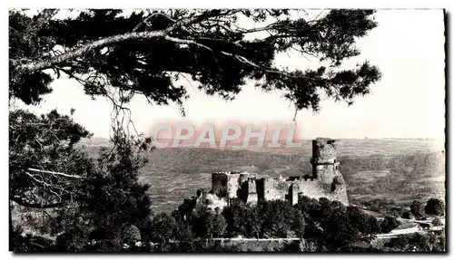 Cartes postales moderne Les Belles Provinces Francaises I&#39Auvergne Chateau De Tournoel