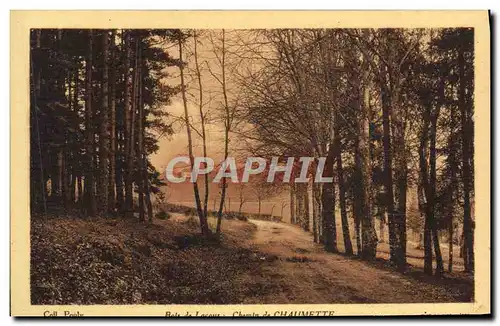 Cartes postales Chemin de Chaumette