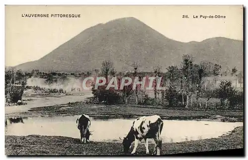 Ansichtskarte AK L&#39Auvergne Pittoresque Le Puy de Dome Vaches