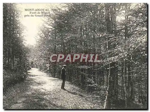 Cartes postales Mont Aigoual Foret De Miquel pres du Grand Hotel