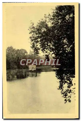 Cartes postales Chateau De Fontainebleau L&#39etang des carpes