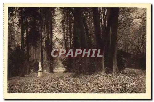 Ansichtskarte AK Fontainebleau Allee Des Platanes