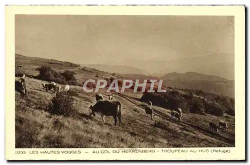 Ansichtskarte AK Les Hautes Vosges Au vol du Herrenberg Troupeau au Hus Vaches