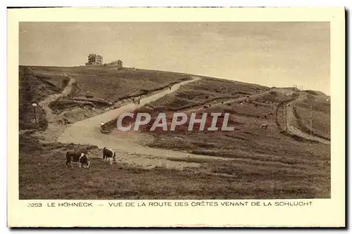 Ansichtskarte AK Le Hohneck Vue de la Route des cretes venant de La Schlucht